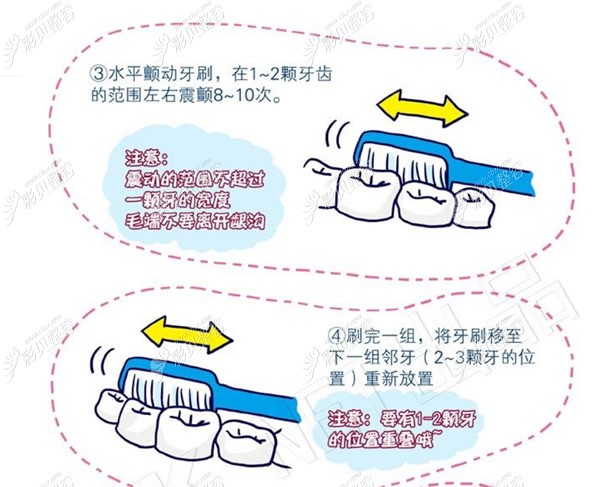 巴氏刷牙法图示图片