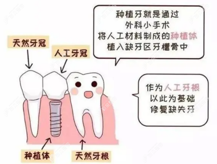 小白兔口腔牙科价目表图片